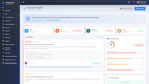 Executive Insights and Risk Assessment
